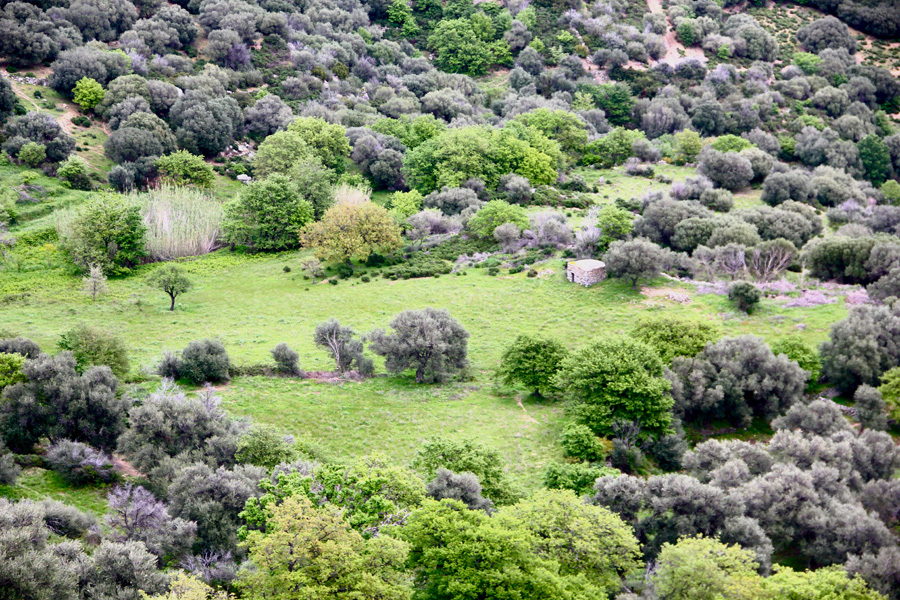 Landschaft und Natur Bild
