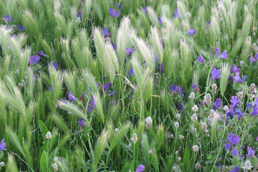 Landschaft und Natur Bild