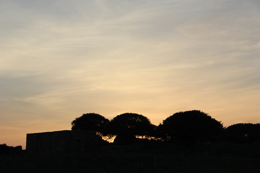 Landschaft und Natur Bild